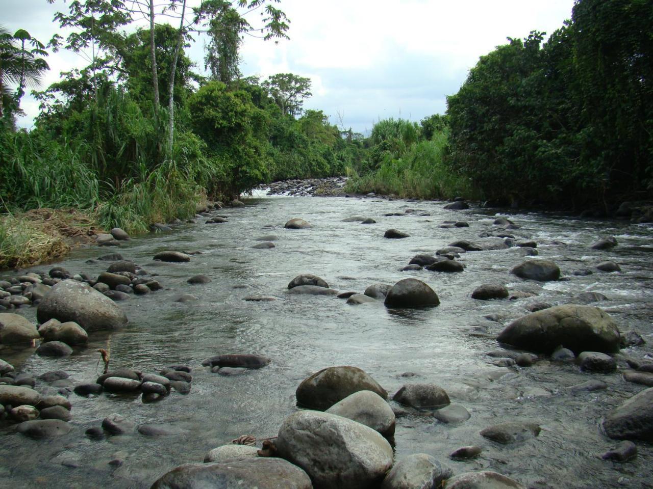 Horquetas River Lodge Sarapiquí Exteriér fotografie
