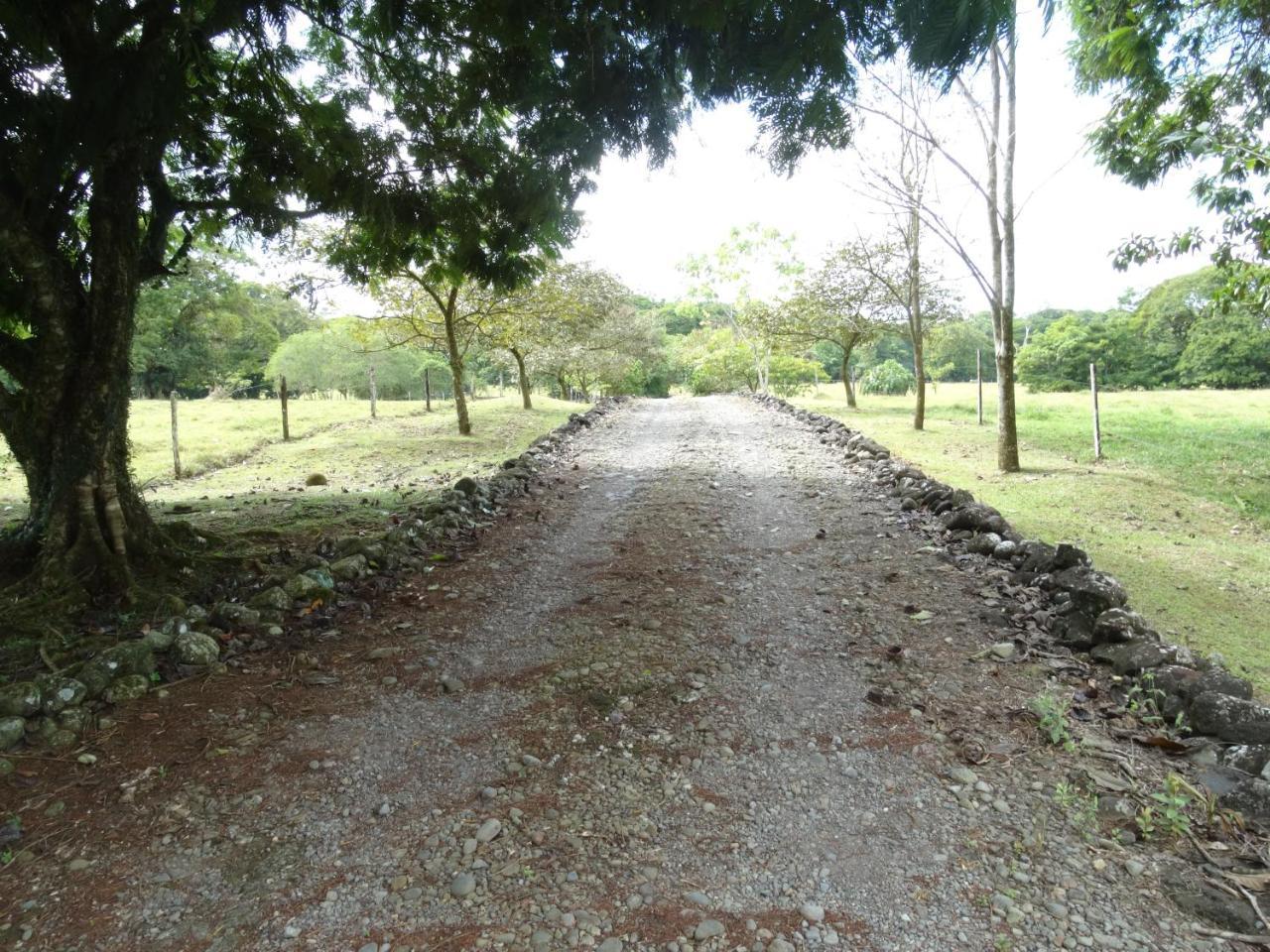 Horquetas River Lodge Sarapiquí Exteriér fotografie