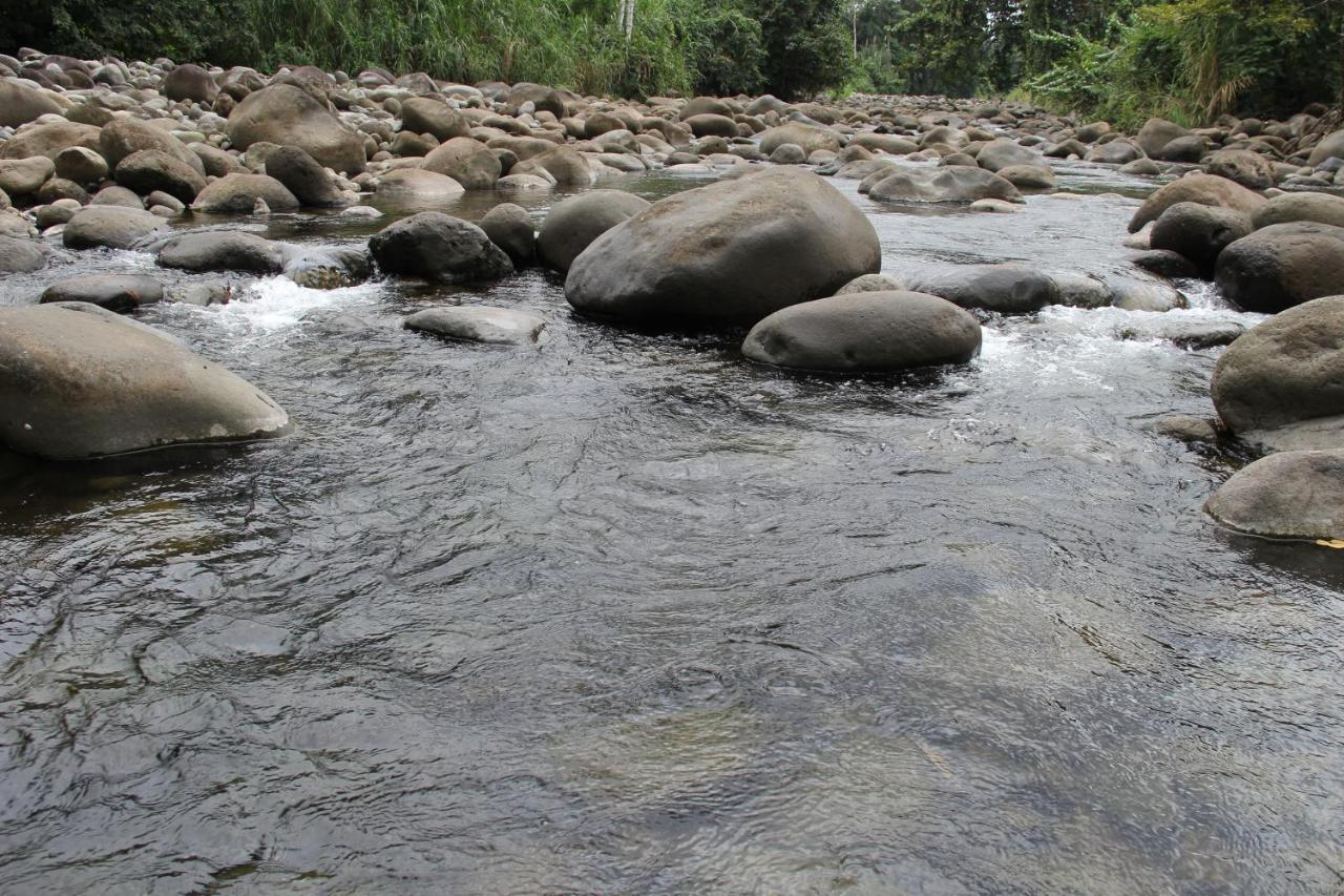 Horquetas River Lodge Sarapiquí Exteriér fotografie