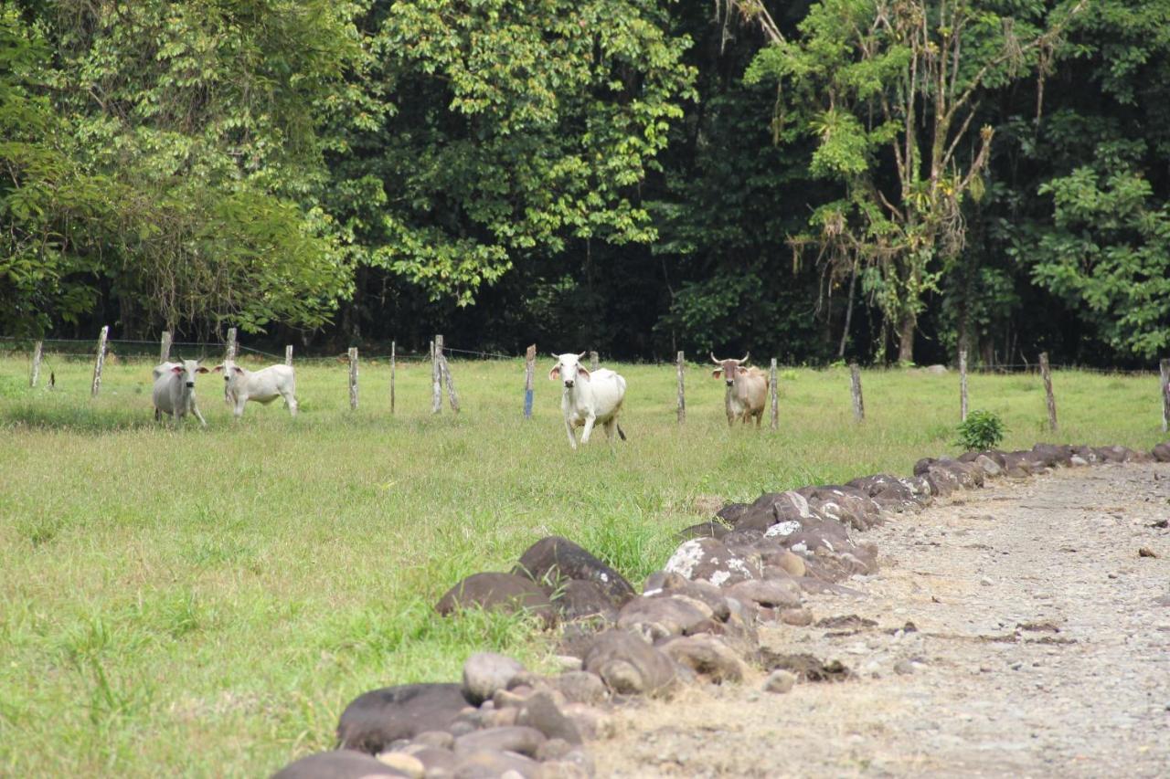 Horquetas River Lodge Sarapiquí Exteriér fotografie