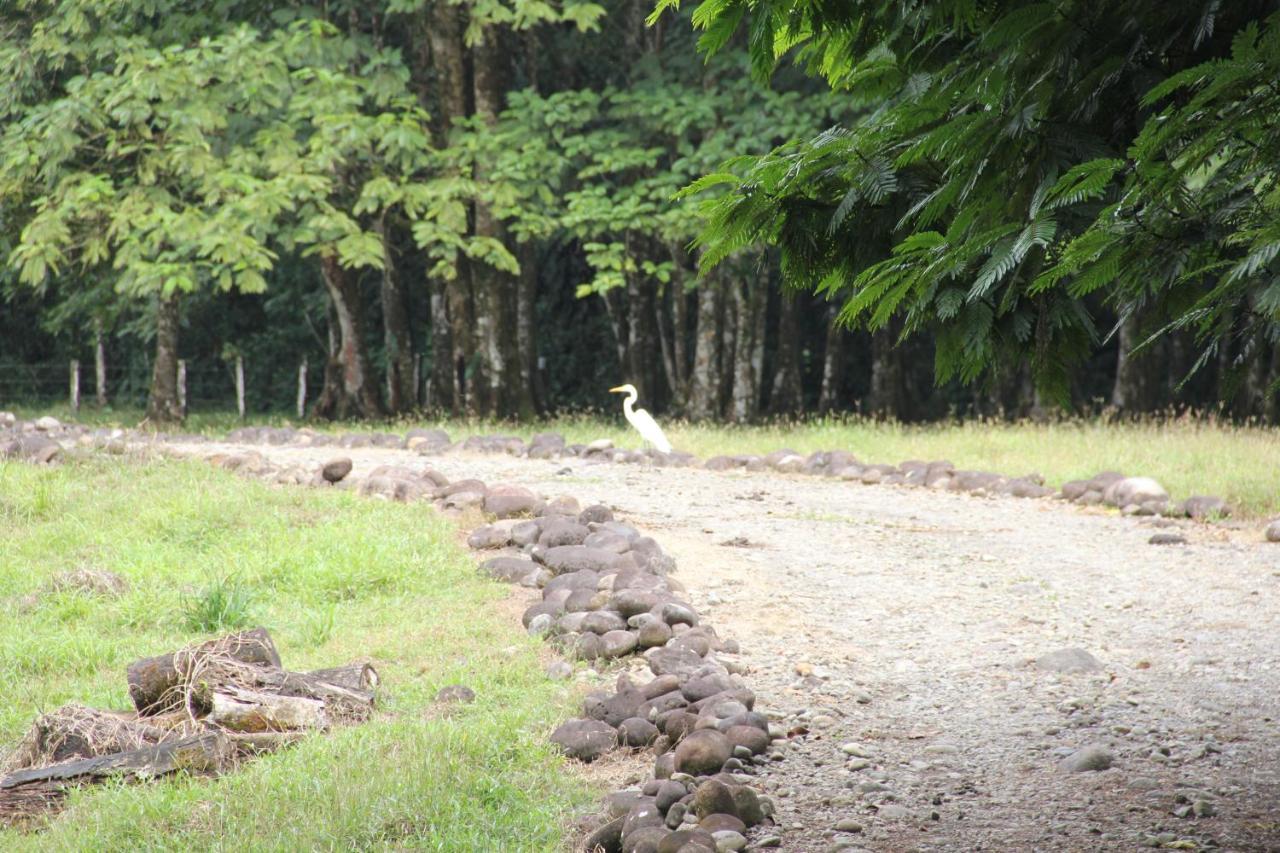 Horquetas River Lodge Sarapiquí Exteriér fotografie